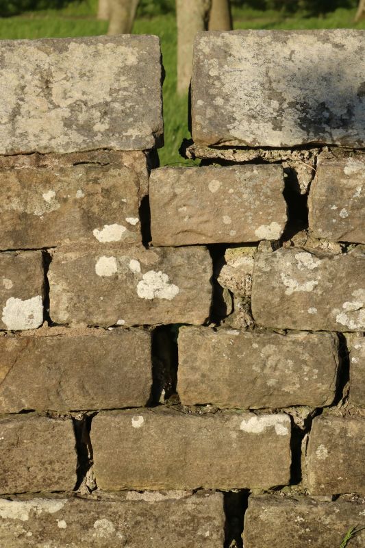Stone Wall Repair in Palmyra, PA